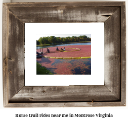 horse trail rides near me in Montrose, Virginia